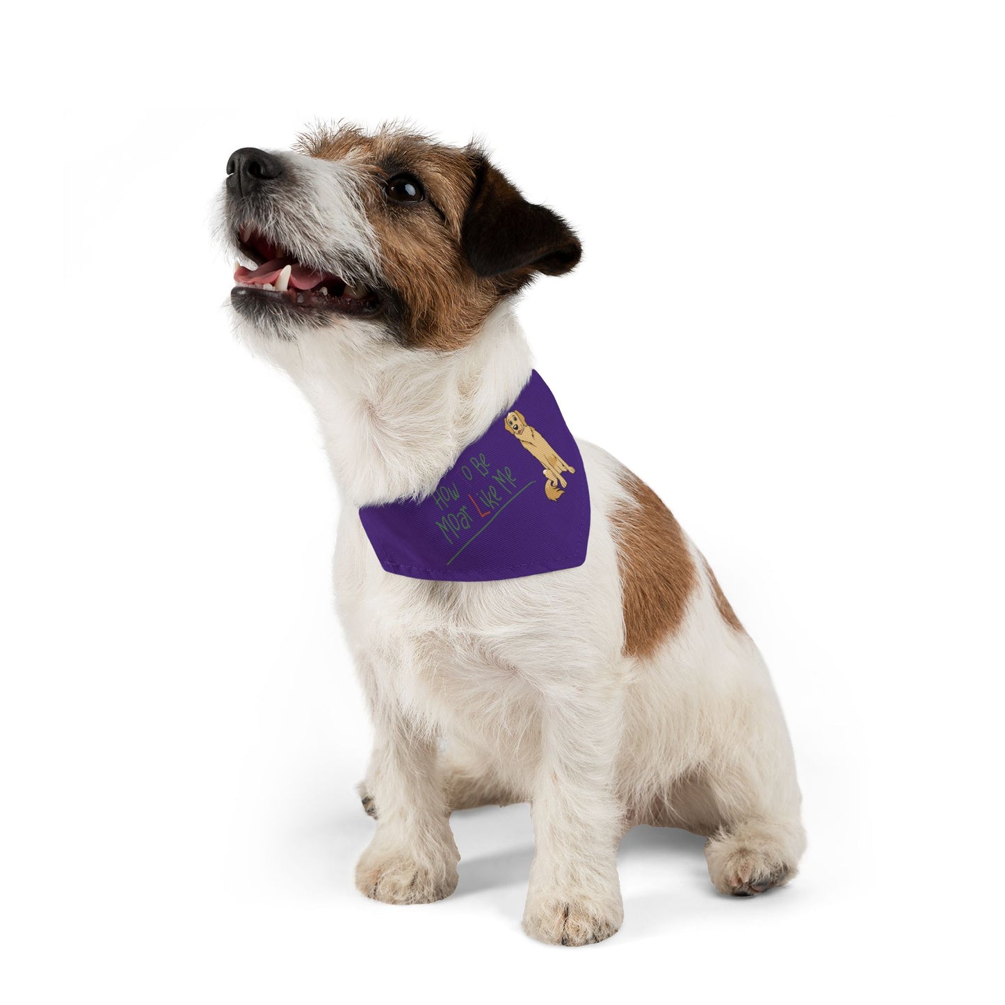 Moary's Bandana